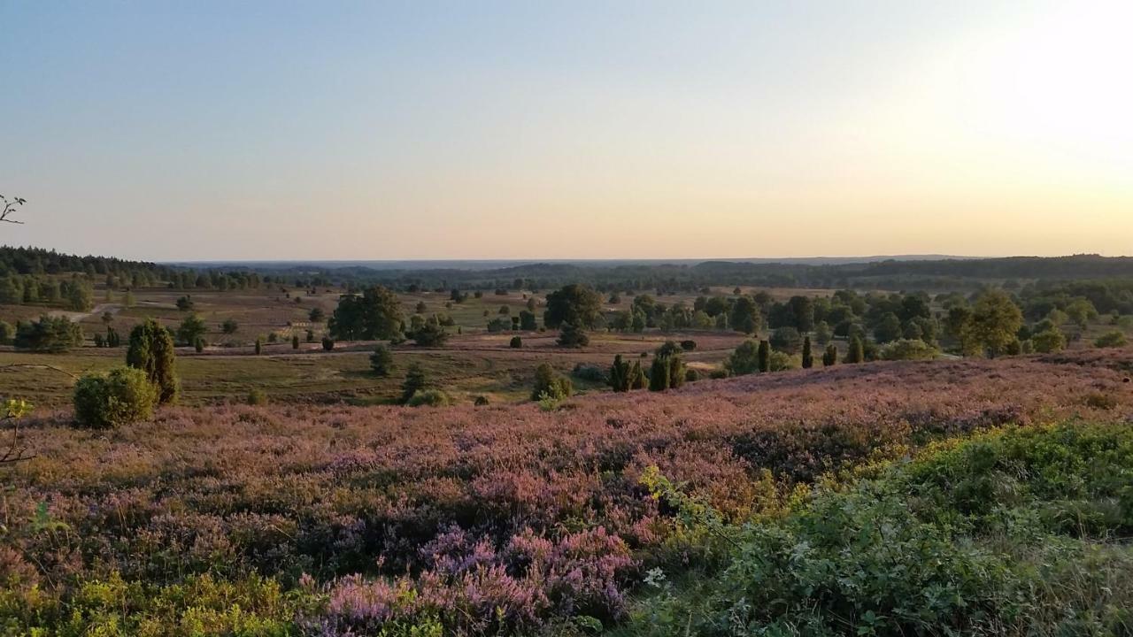 Ferienwohnung Parkblick Soltau Exteriör bild